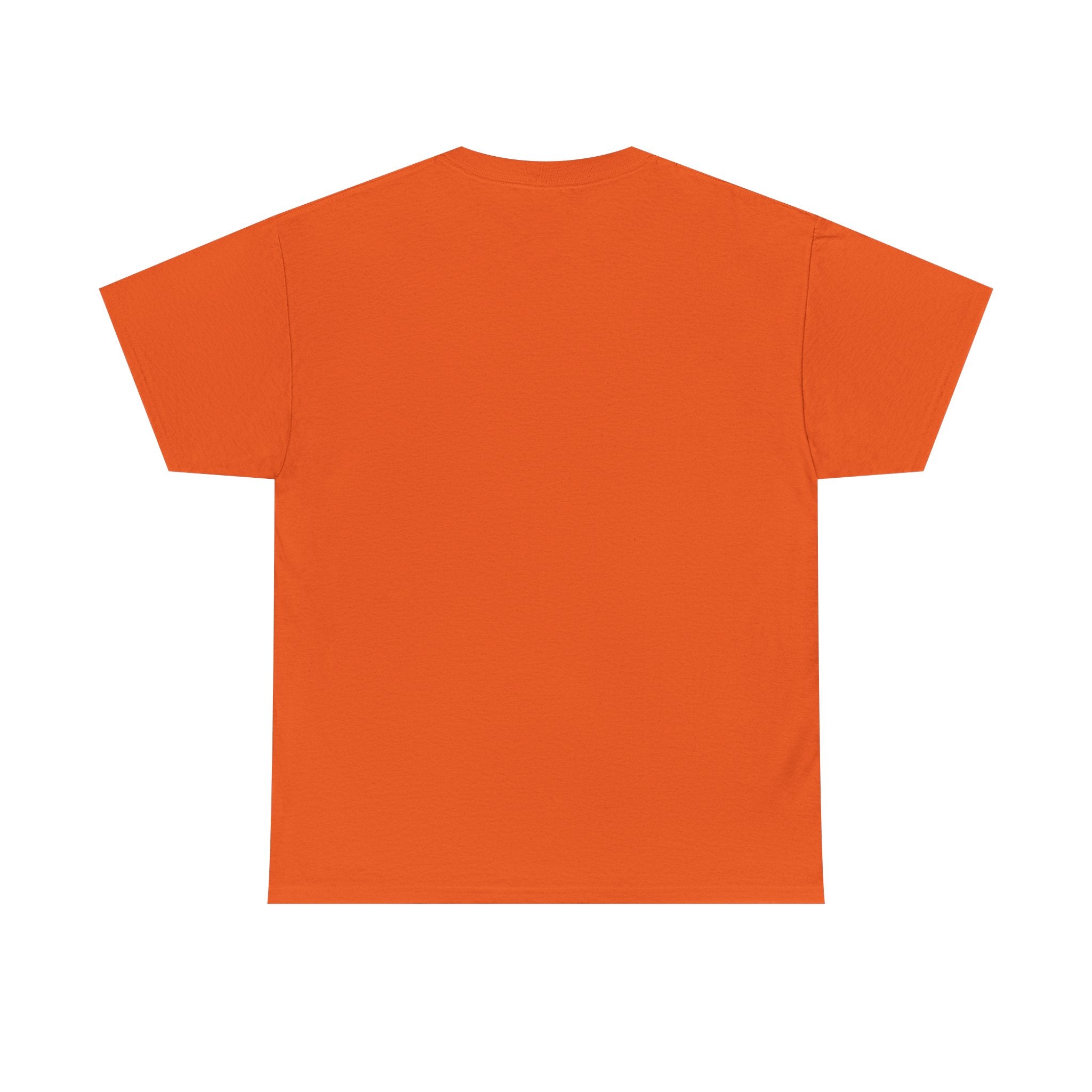 I Survived 2020 — Original Design Teaser Tee | Season 1 Premiere Drop Unisex Heavy Cotton Tee