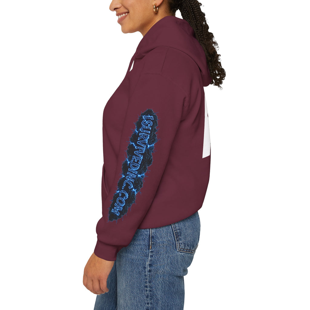 I Survived 2020 — S3:E3 "Remote Schooling" | Lockdown Edition Documentary Hoodie Sweatshirt