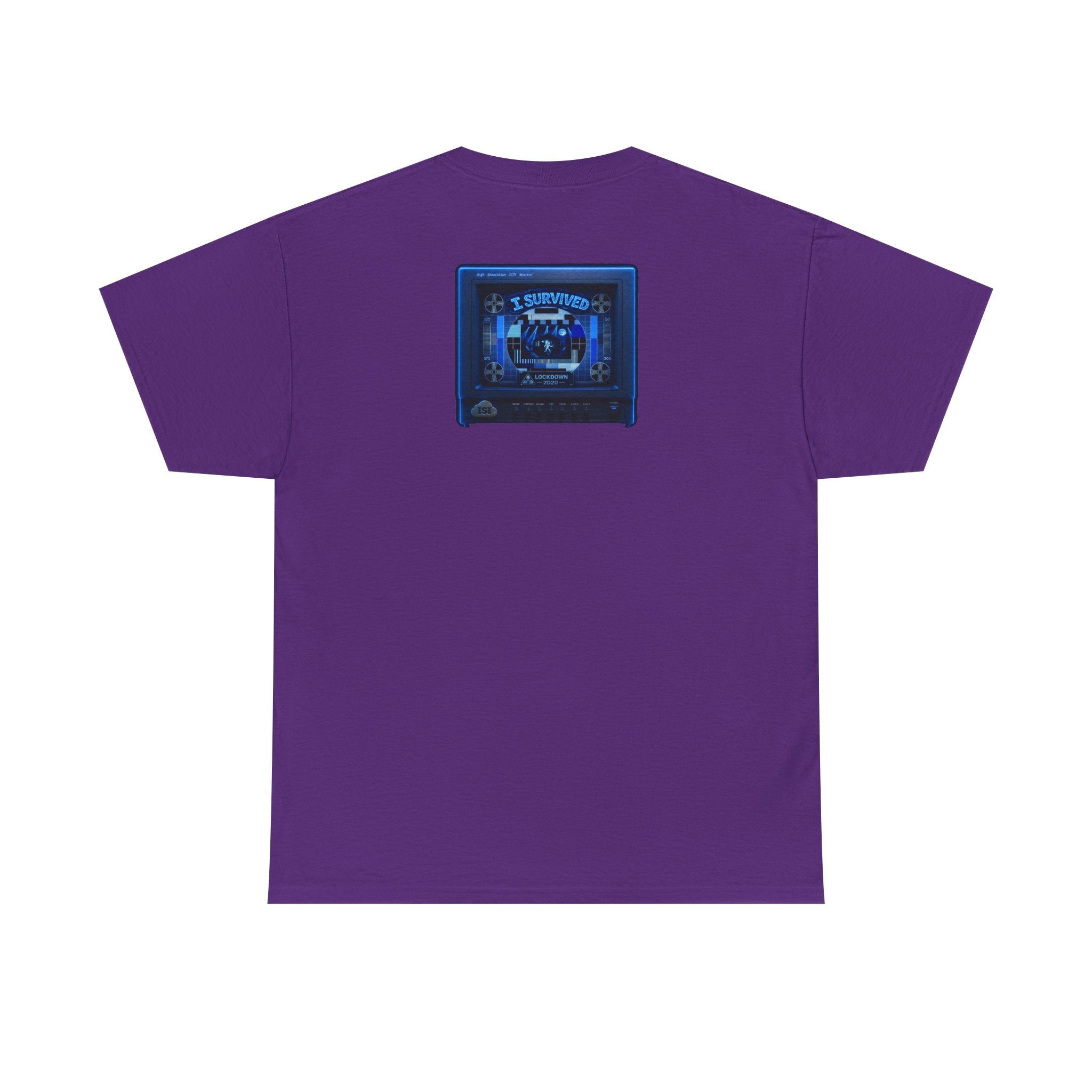 I Survived 2020 — "Please Stand By" Test Pattern Tee Lockdown Surveillance Edition Summer Exclusive Unisex Heavy Cotton Tee