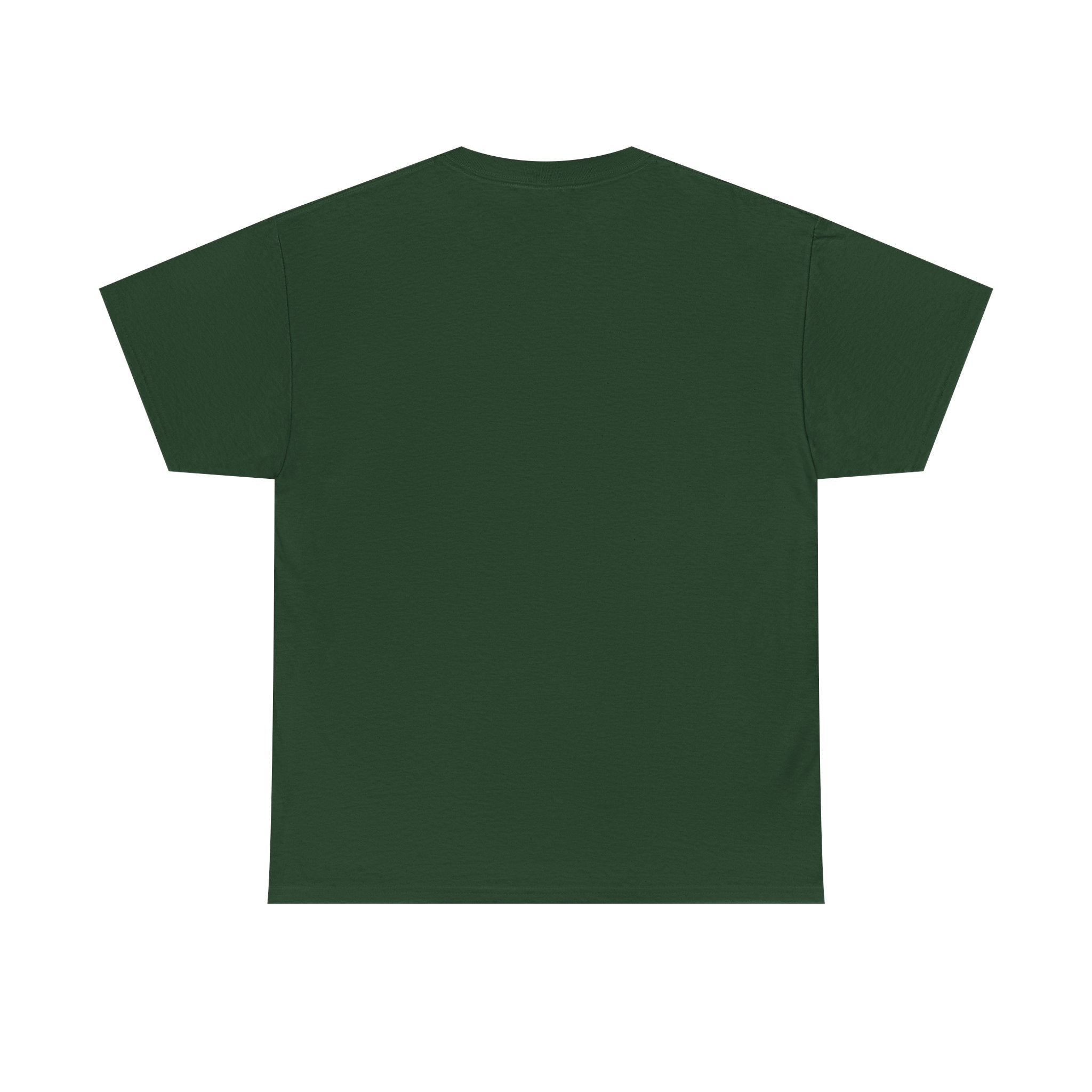 I Survived 2020 — Original Design Teaser Tee | Season 1 Premiere Drop Unisex Heavy Cotton Tee