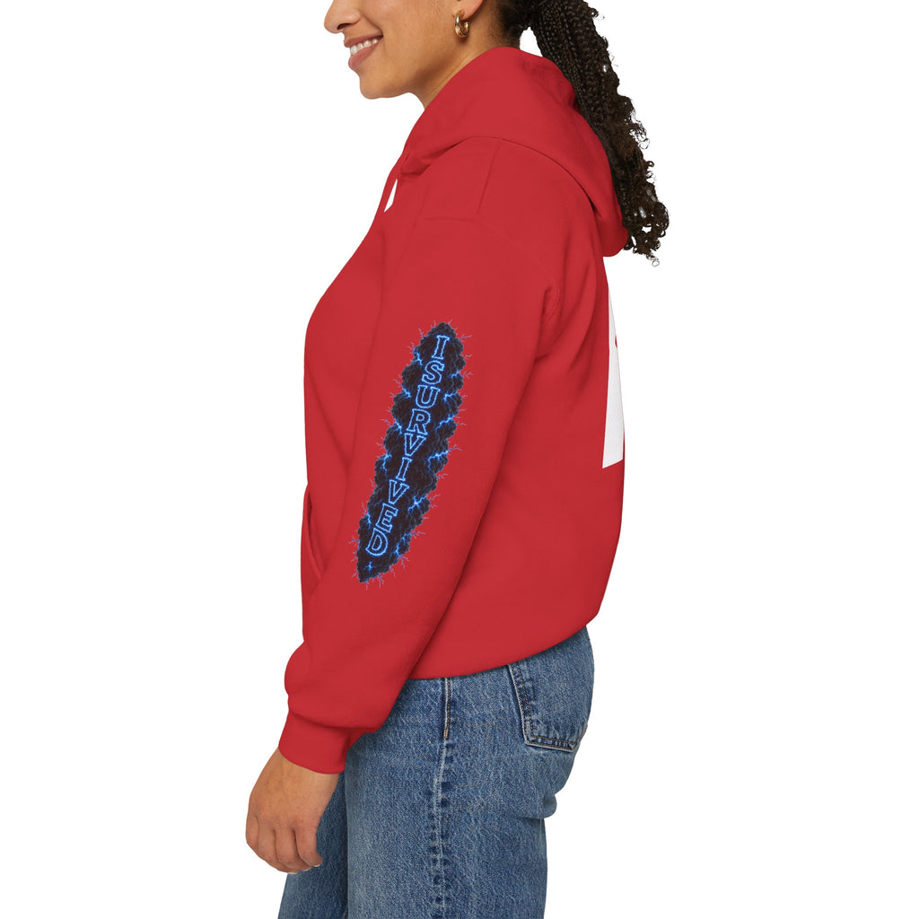 I Survived 2020 — Director's Cut S3:E1 "Quarantine" | Lockdown Edition Documentary Hoodie Sweatshirt
