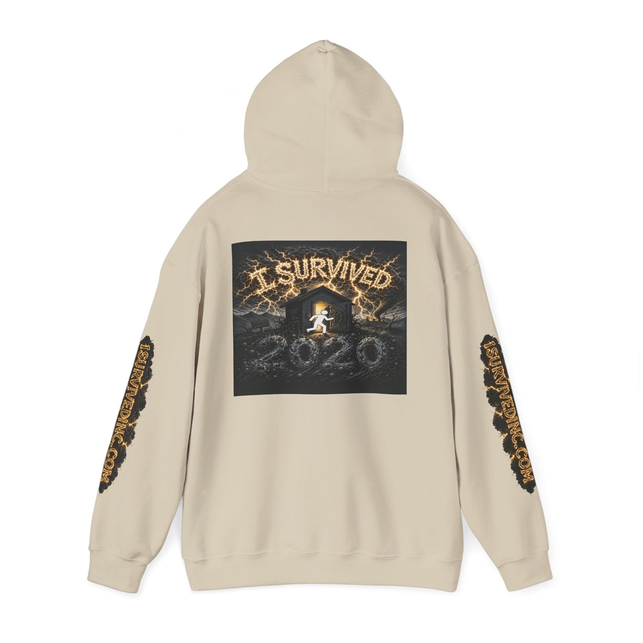 I Survived 2020 - Original PILOT Design Hoodie
