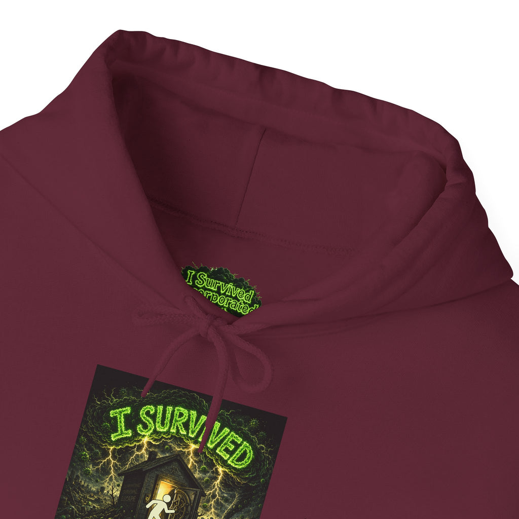 I Survived 2020 — S1:E5 "Delivery Doomsday" | Pandemic Edition Hoodie Sweatshirt