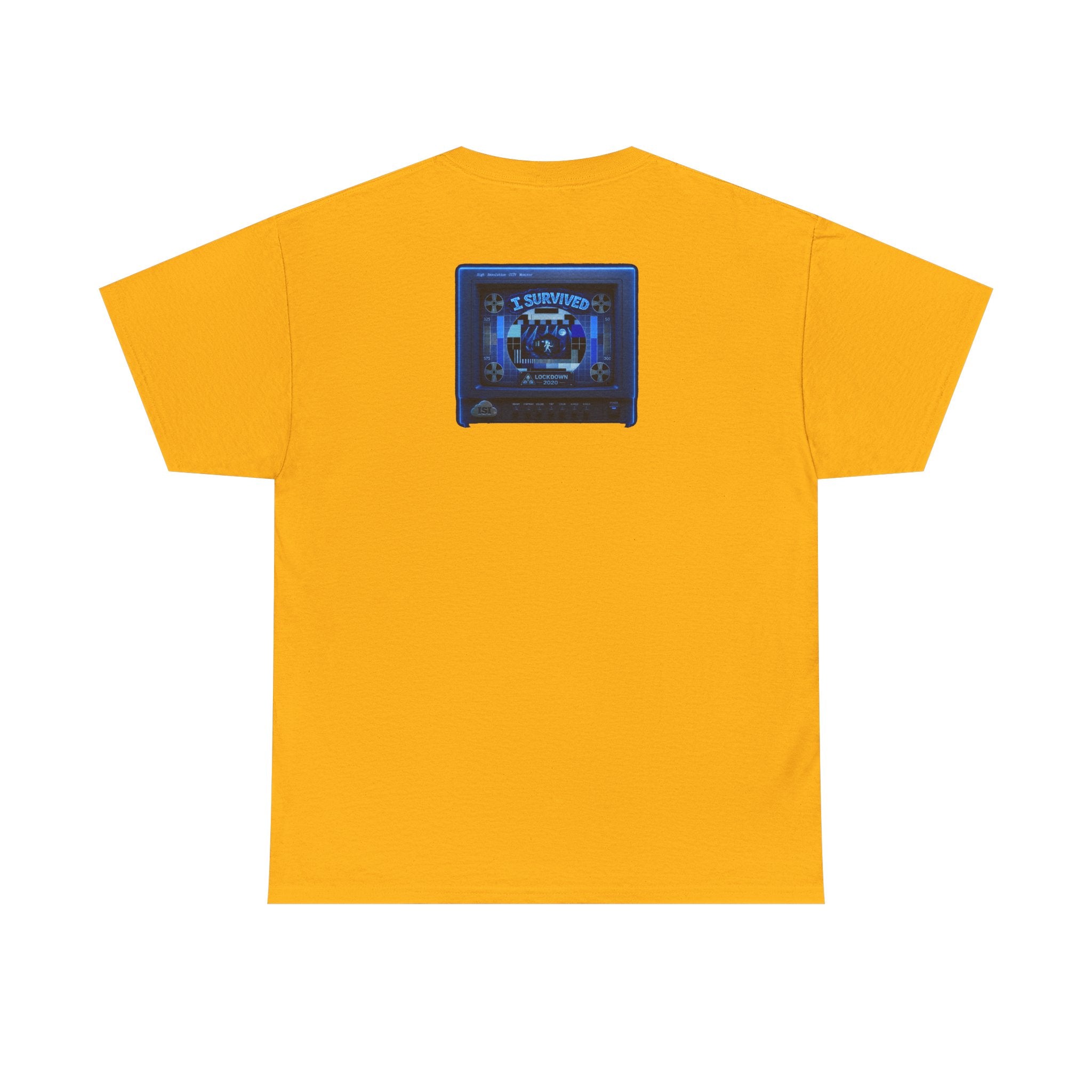 I Survived 2020 — "Please Stand By" Test Pattern Tee Lockdown Surveillance Edition Summer Exclusive Unisex Heavy Cotton Tee